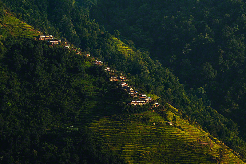 Illustration for article titled Stunning photos show the ancient tradition of honey hunting in Nepal